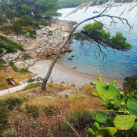 Lejlighed Nikolina - Vitarnja Jelsa (Hvar)