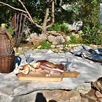 Apartment Nikolina - Vitarnja Jelsa (Hvar)