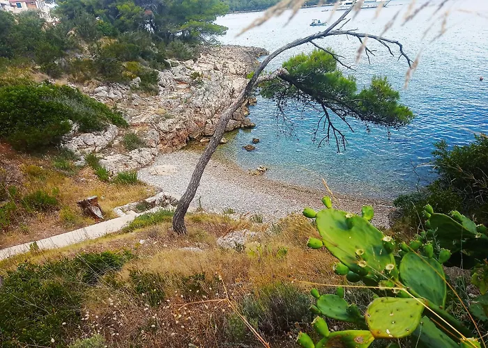 Lejlighed Nikolina - Vitarnja Jelsa (Hvar)